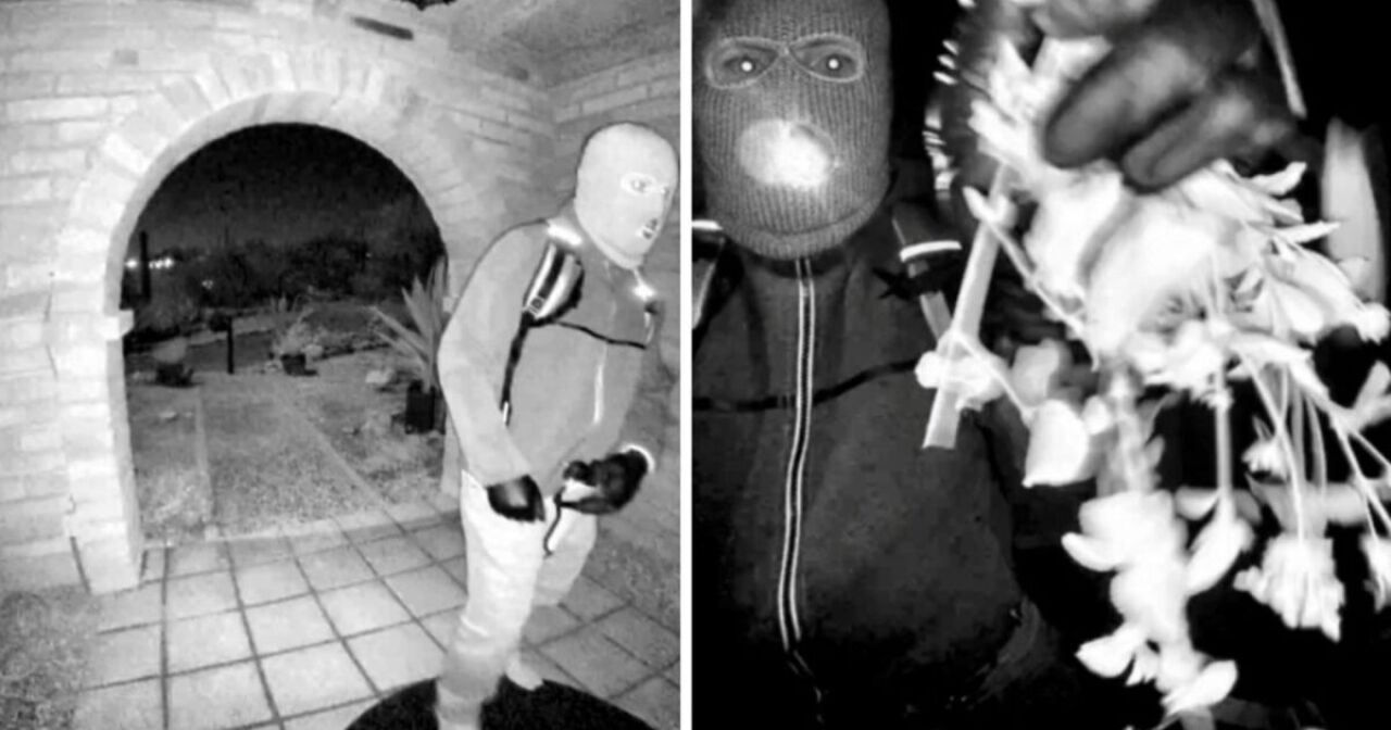 [IMAGE] WATCH: Investigators analyzing biological evidence found at Nancy Guthrie&rsquo;s home